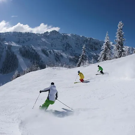 In Near Penkenbahn Lift, Cleaning Included Mayrhofen